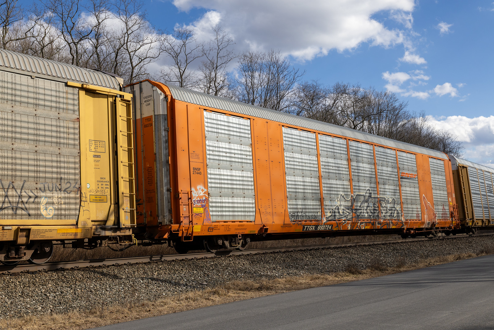 TTGX 693724