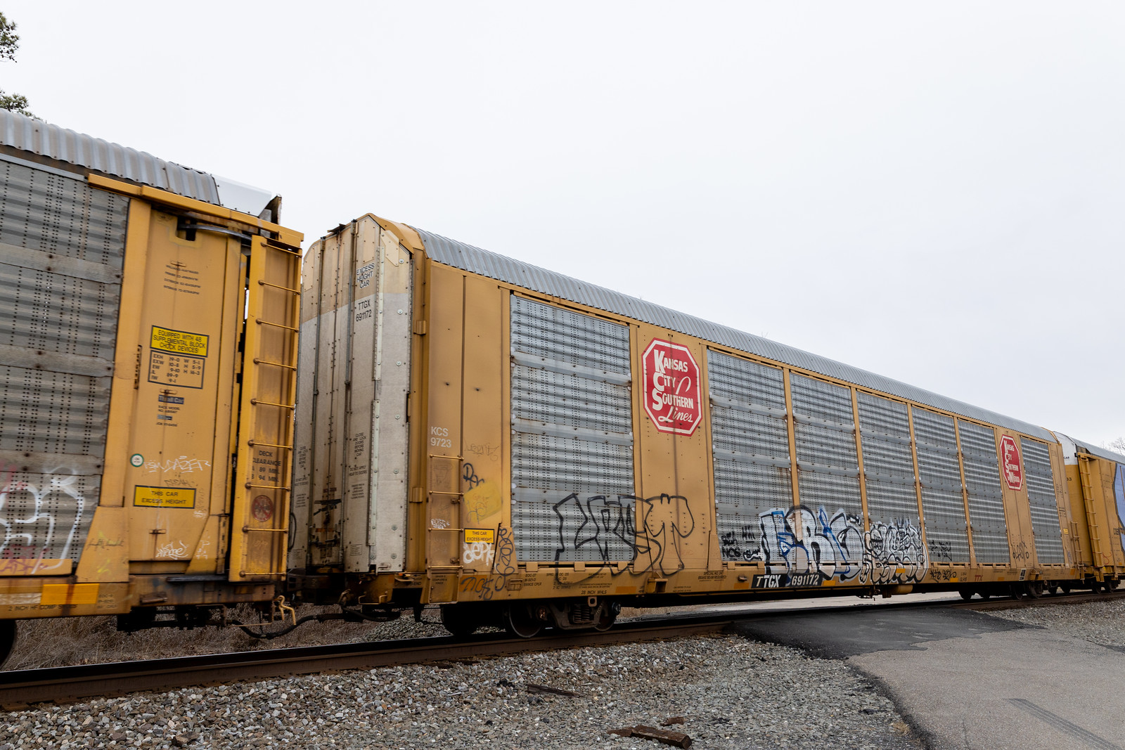 TTGX 691172