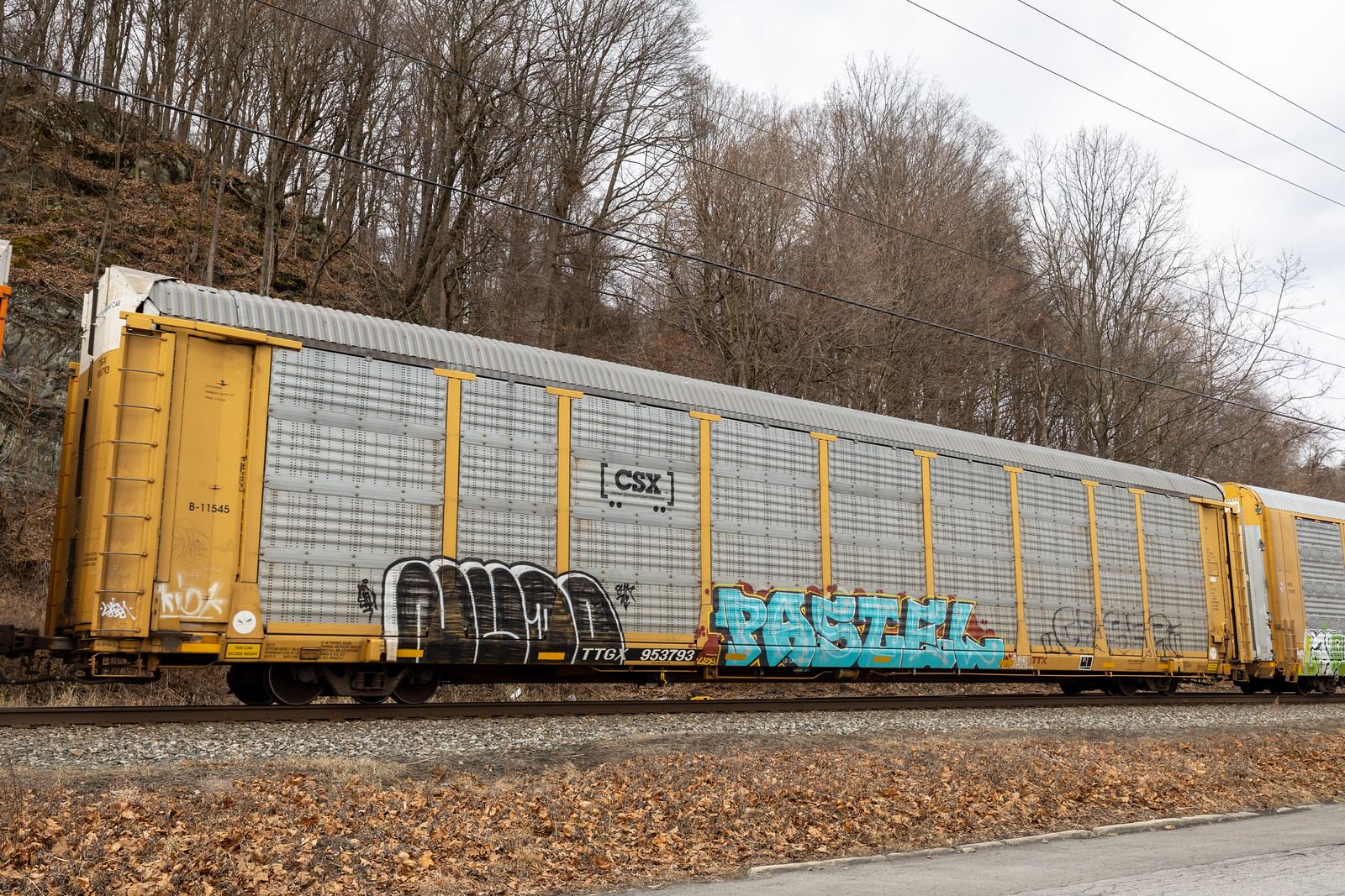 TTGX 953793