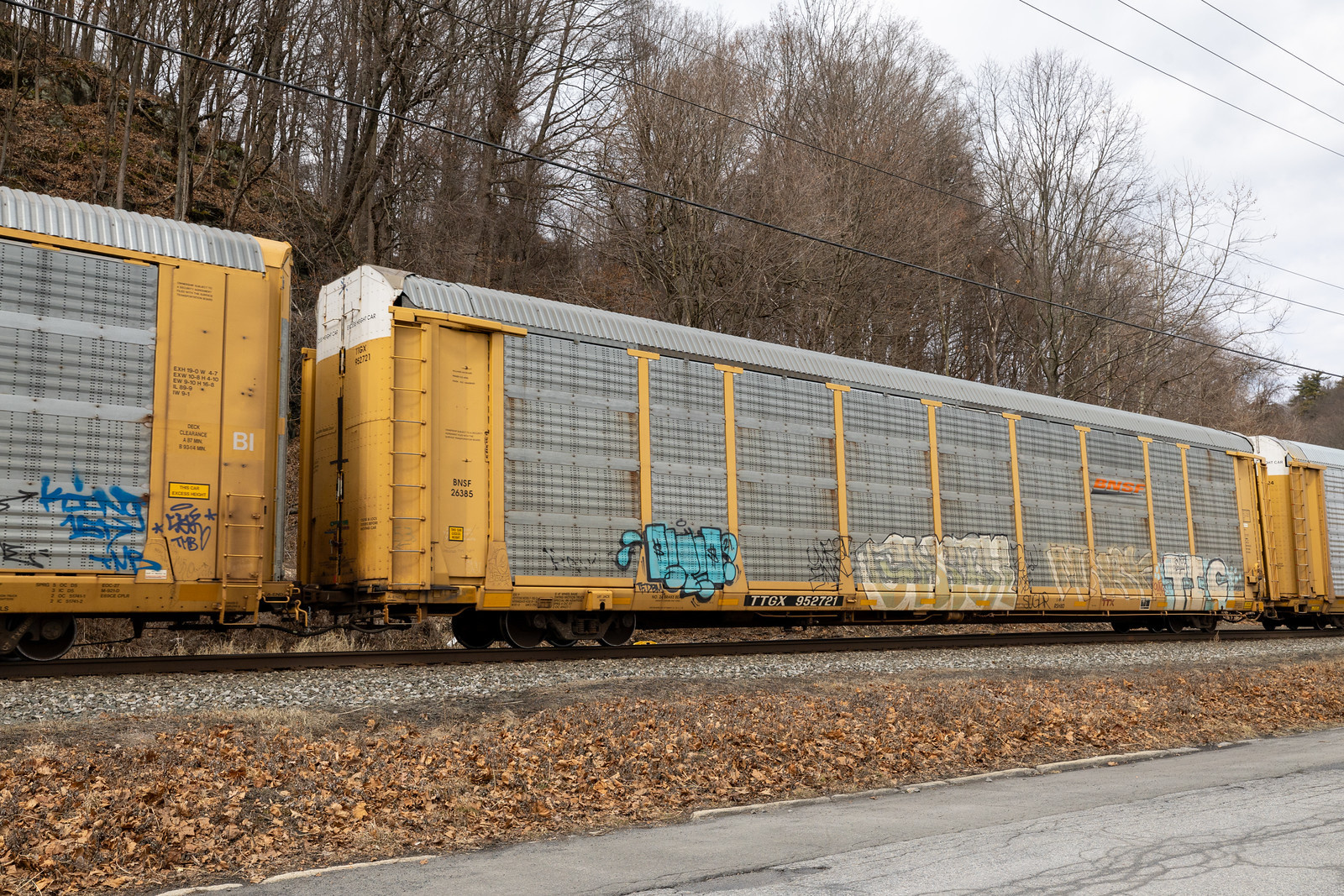 TTGX 952721