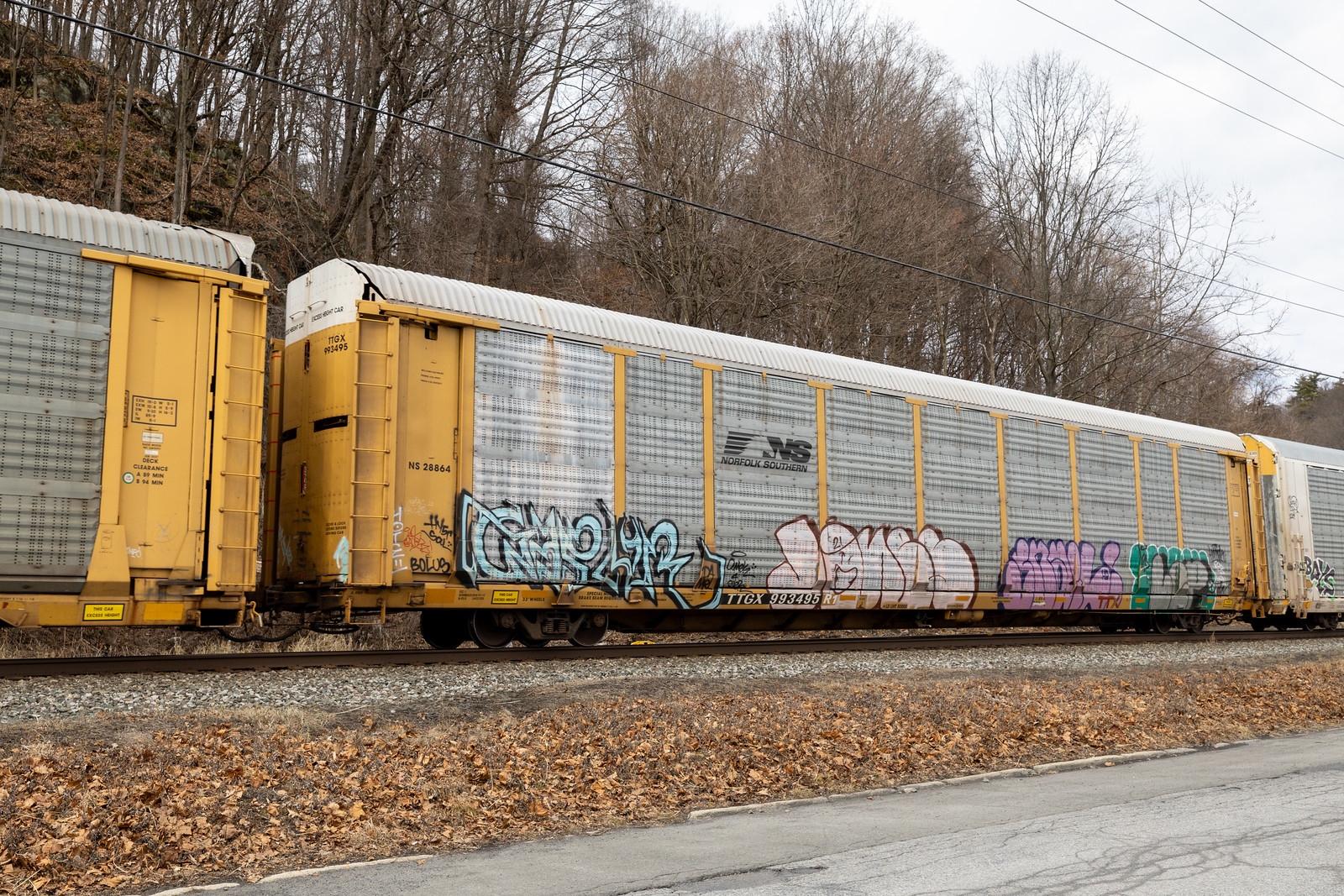 TTGX 993495