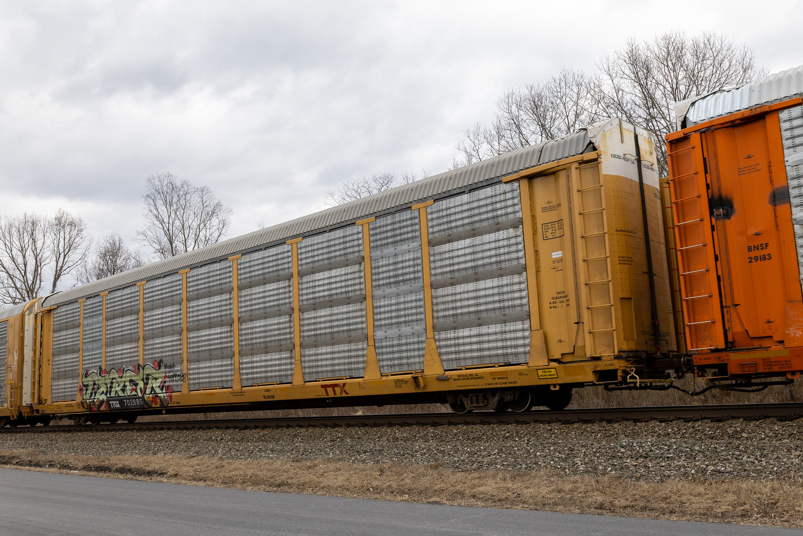 TTGX 702695