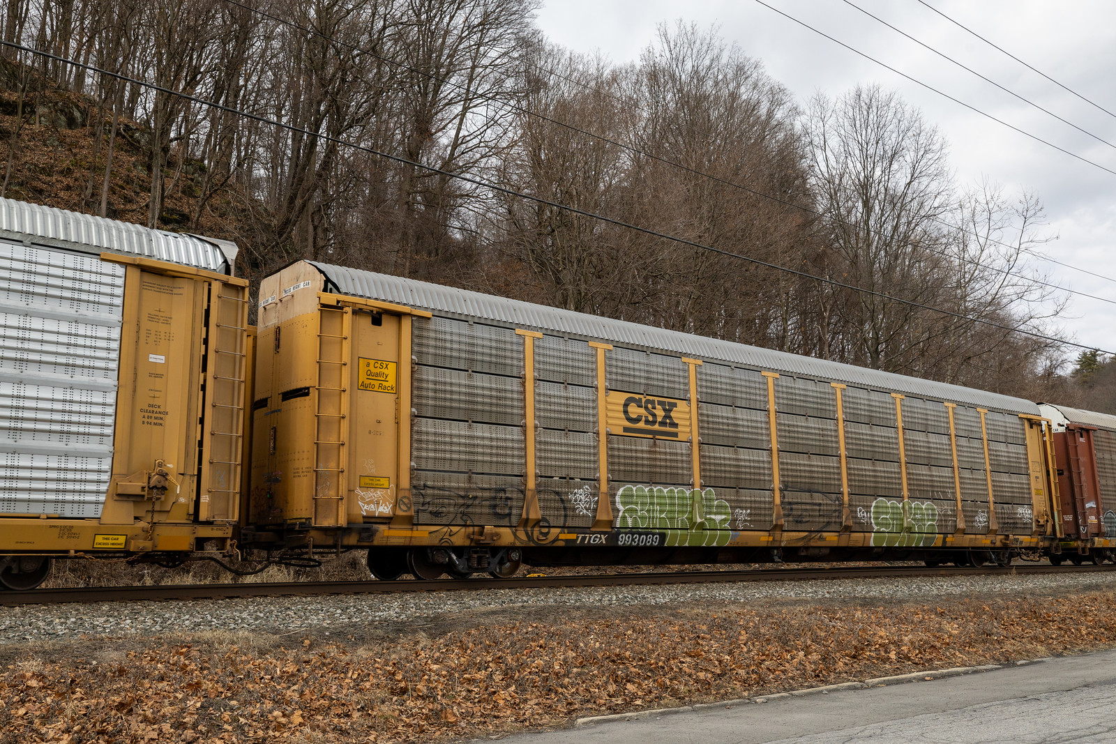 TTGX 993089