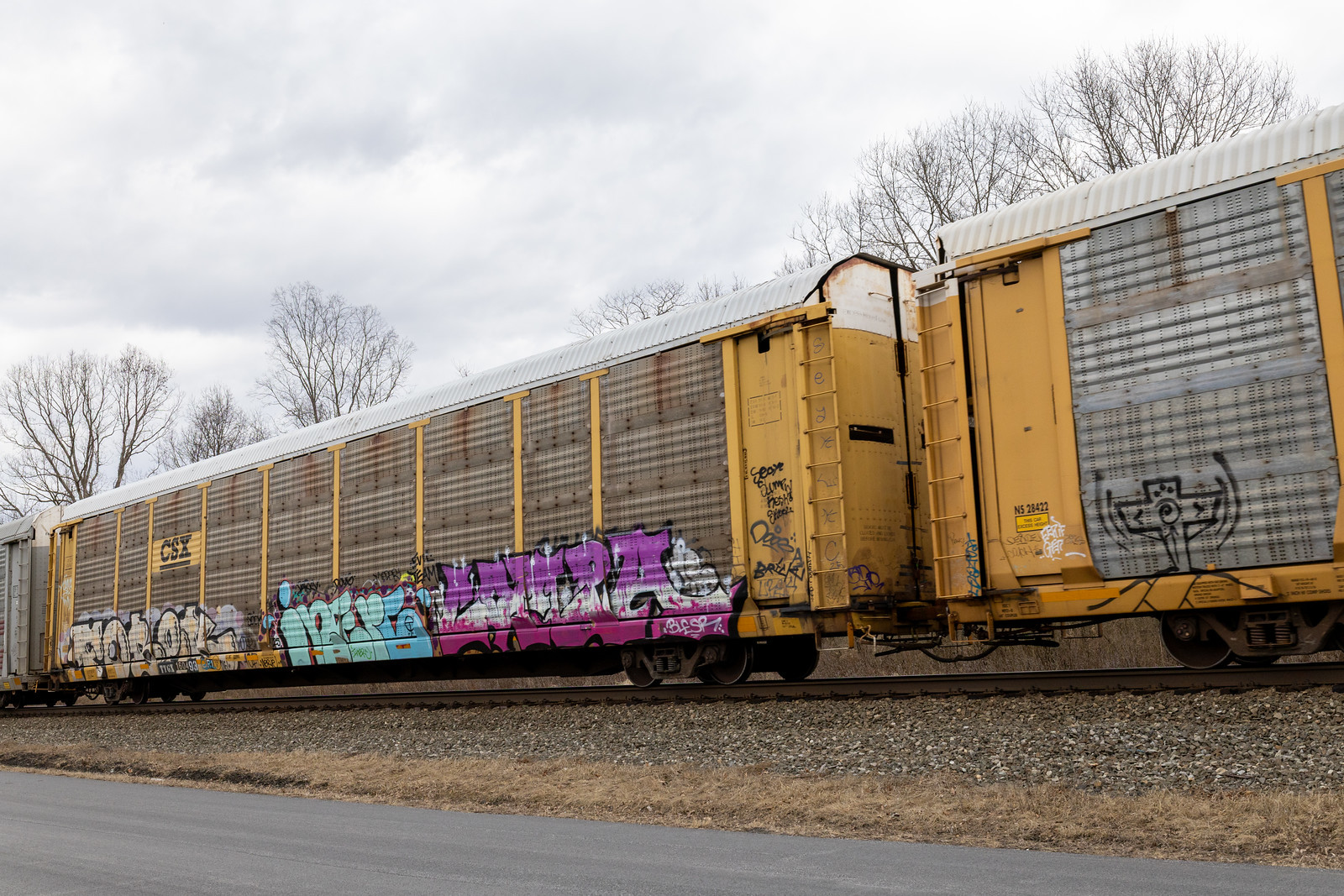 TTGX 160493