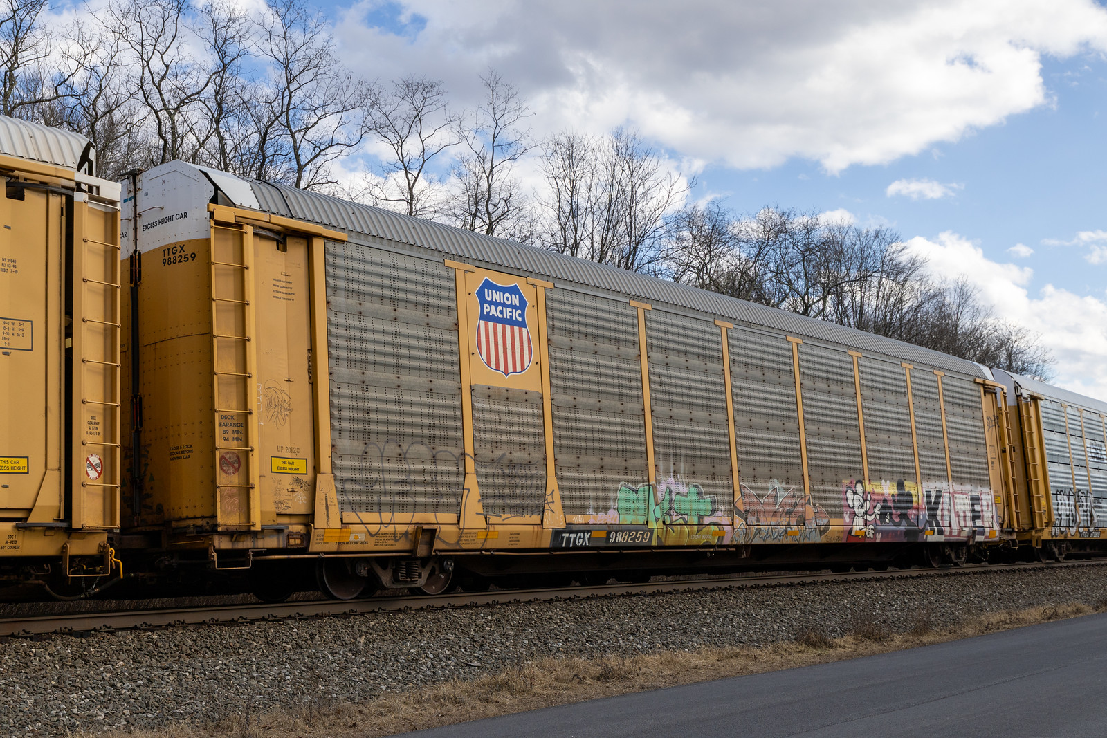 TTGX 988259