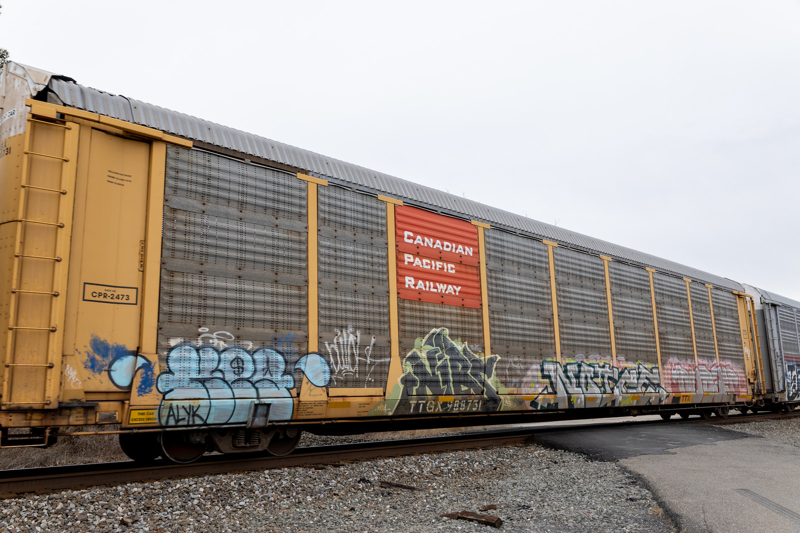 TTGX 988731