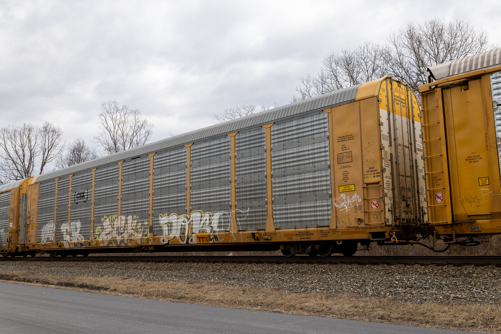 TTGX 715951
