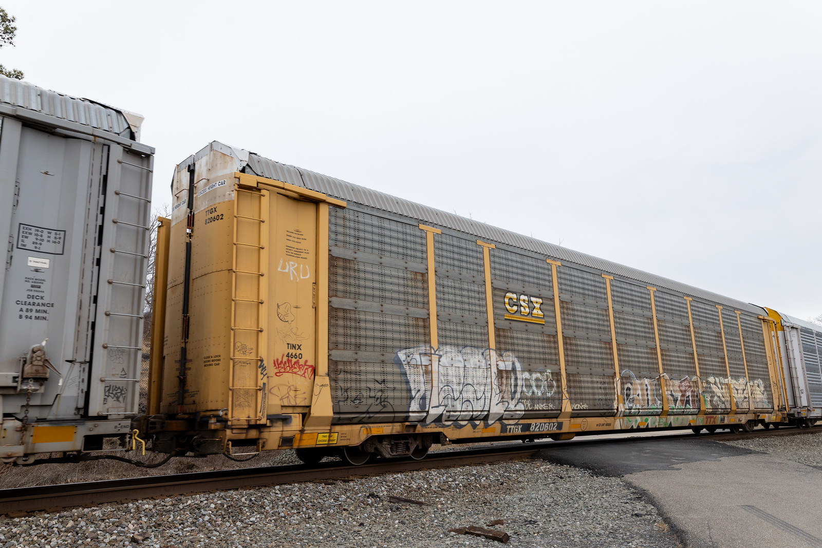 TTGX 820602