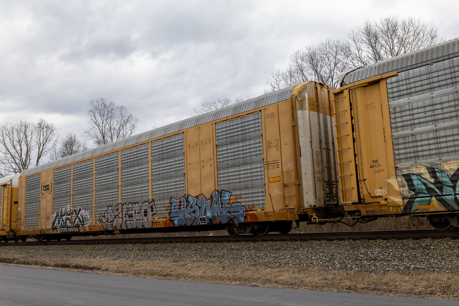 CTTX 690639