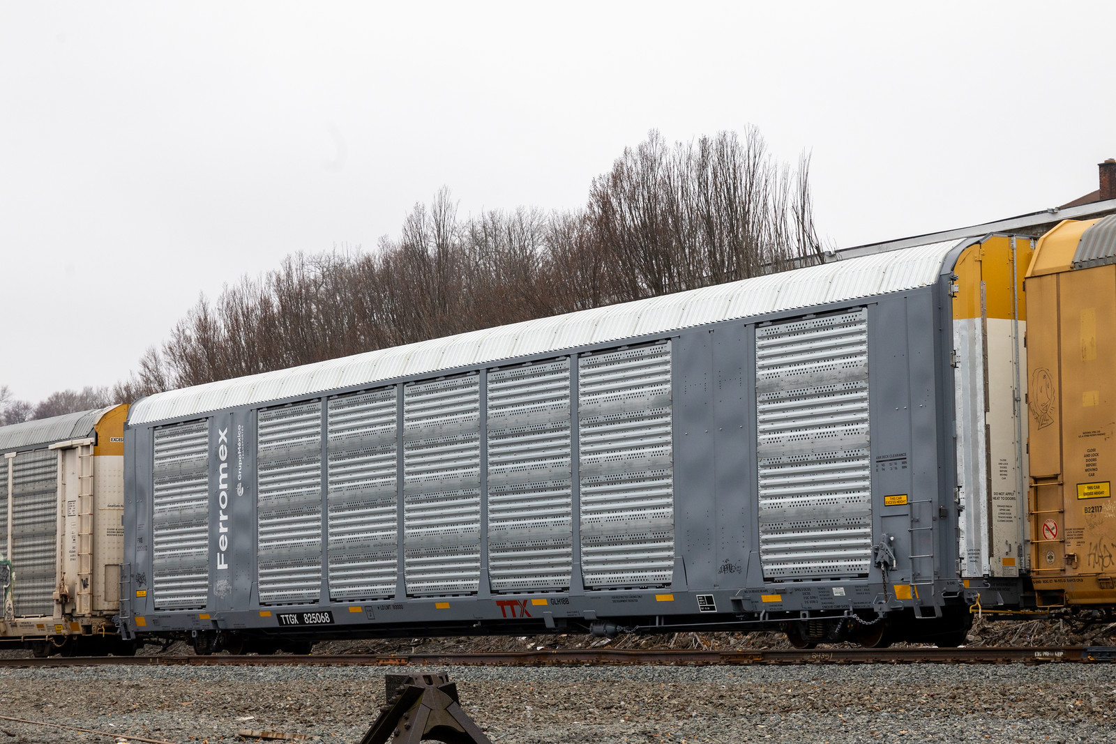 TTGX 825068