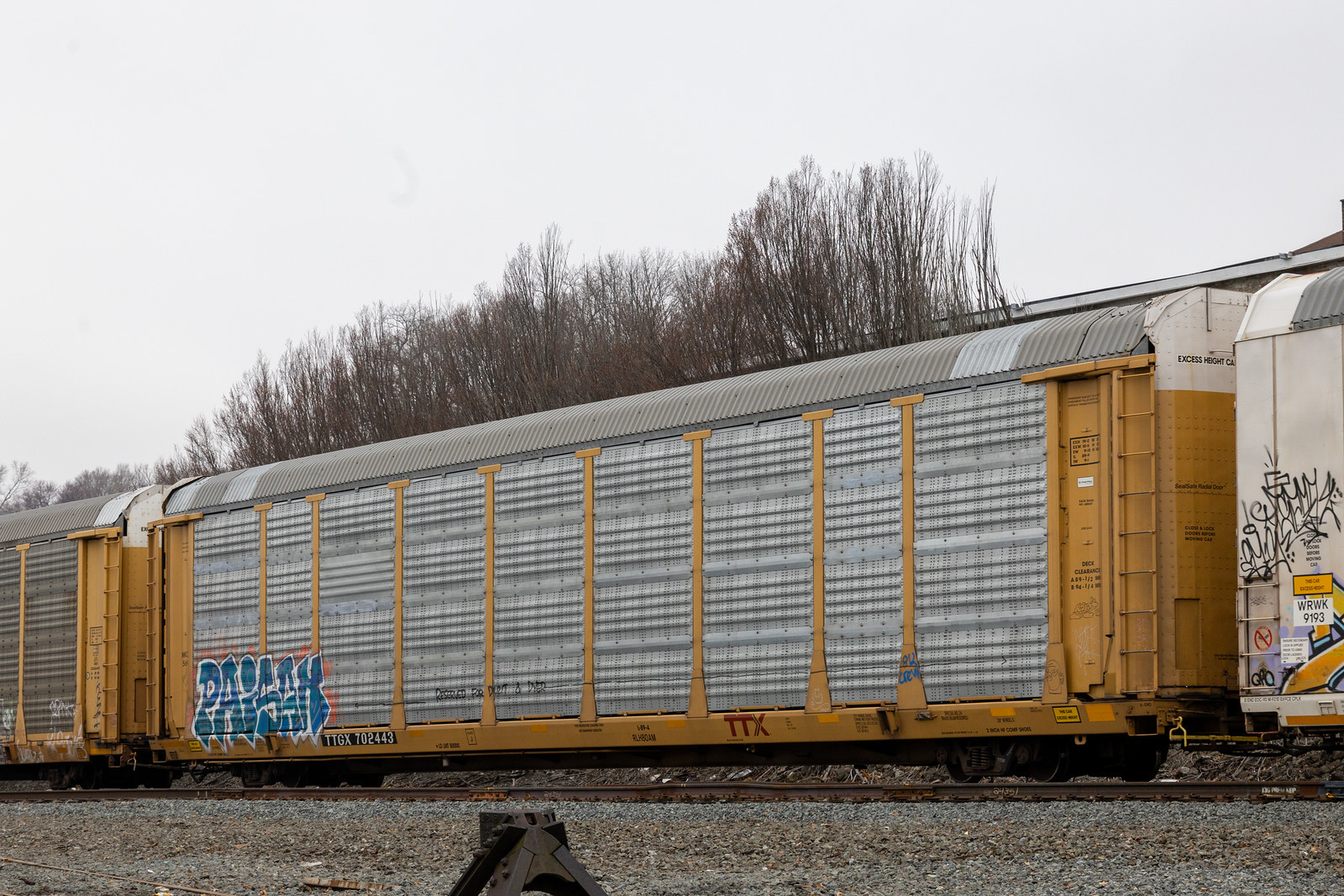 TTGX 702443