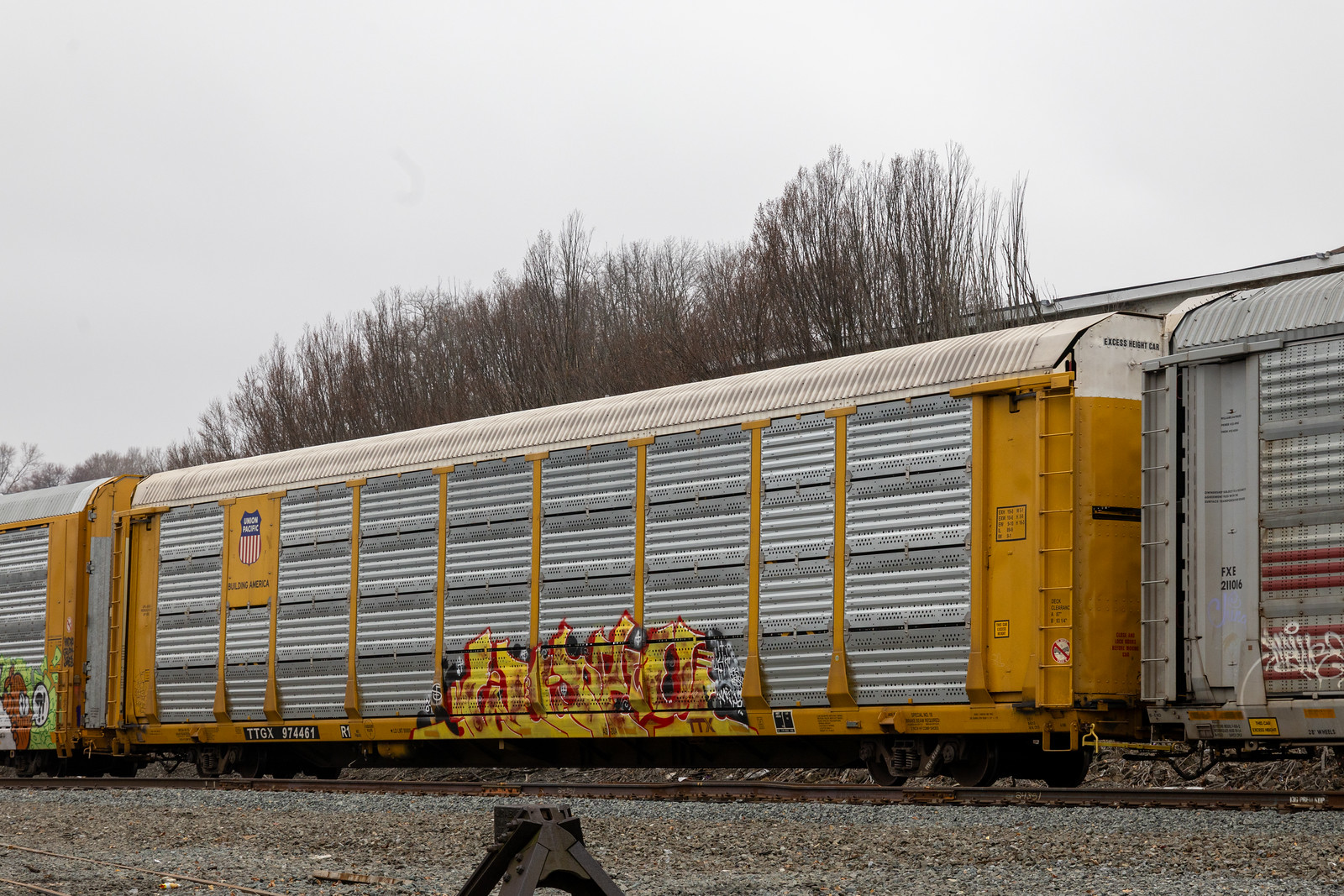 TTGX 974461
