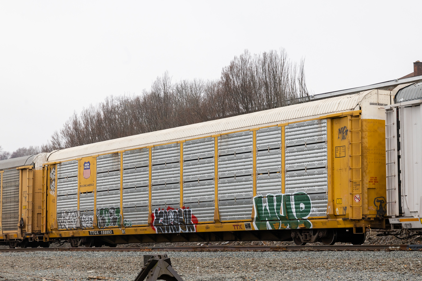 TTGX 158893