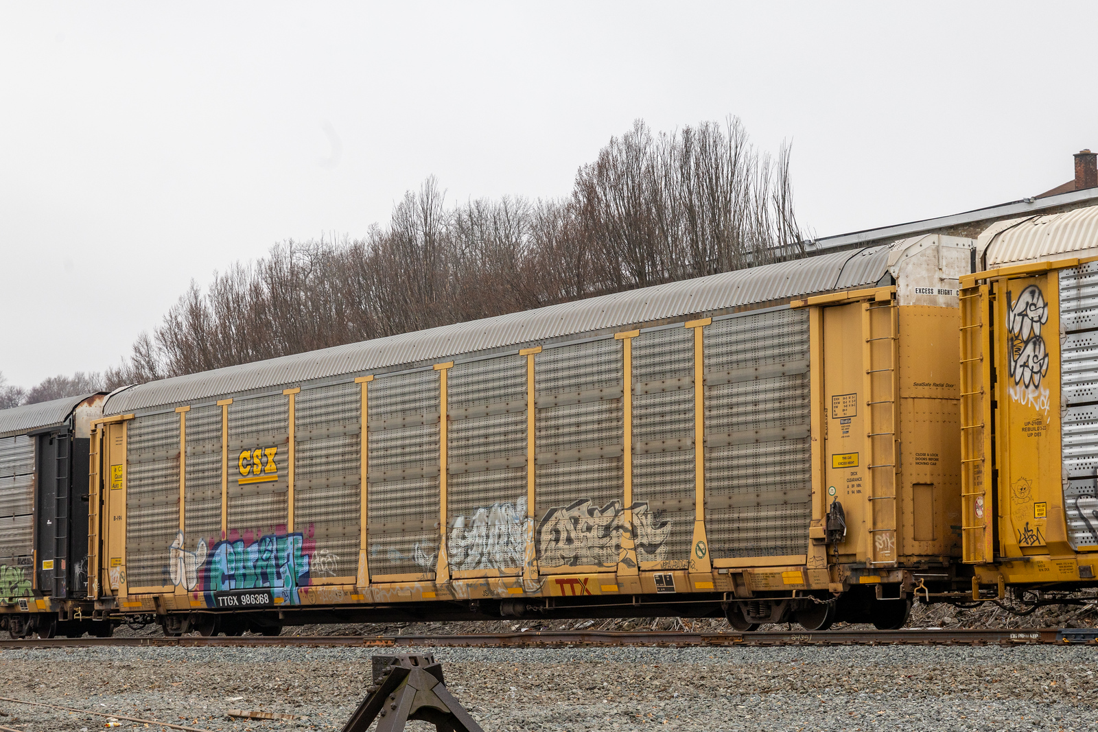 TTGX 986368