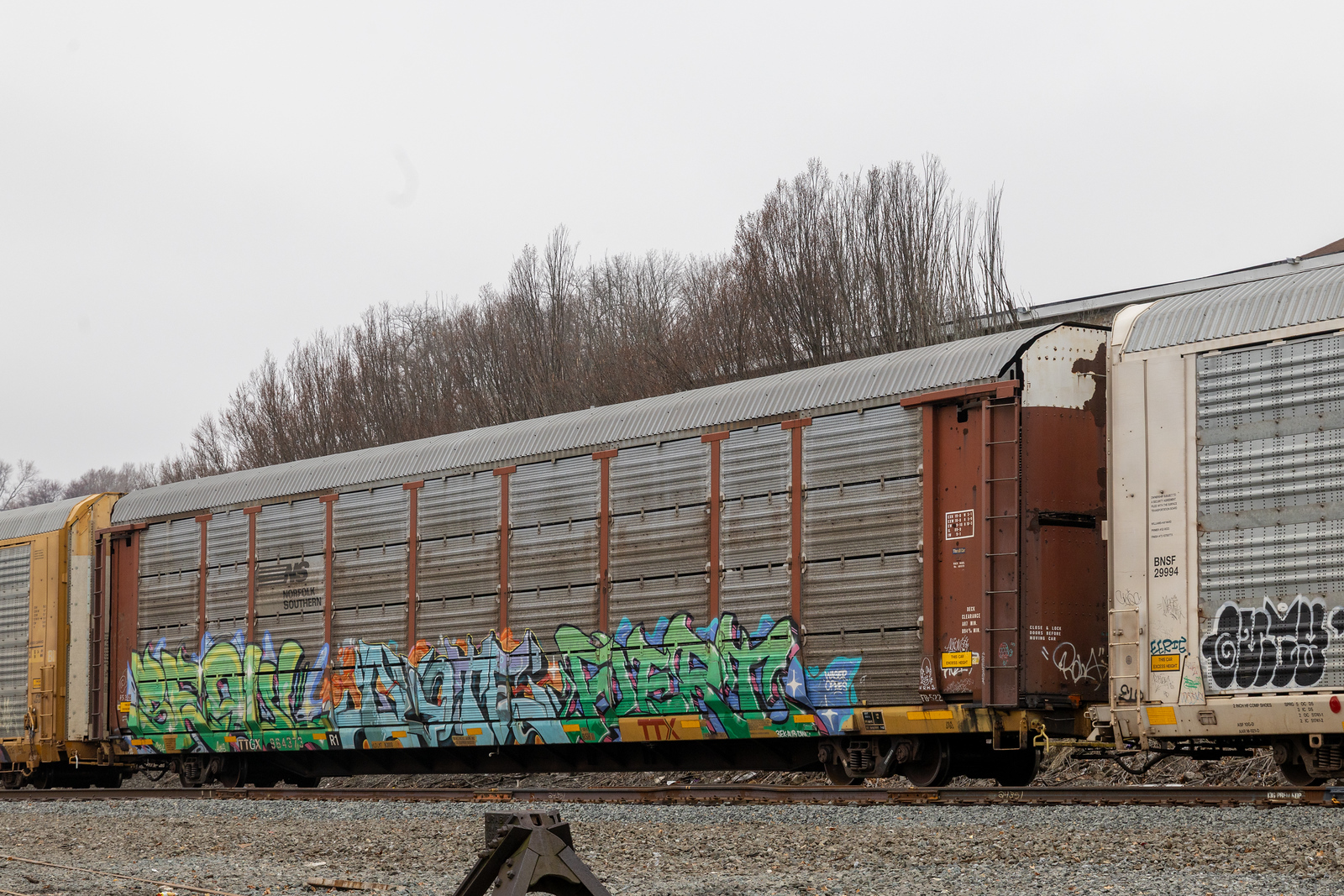 TTGX 964373