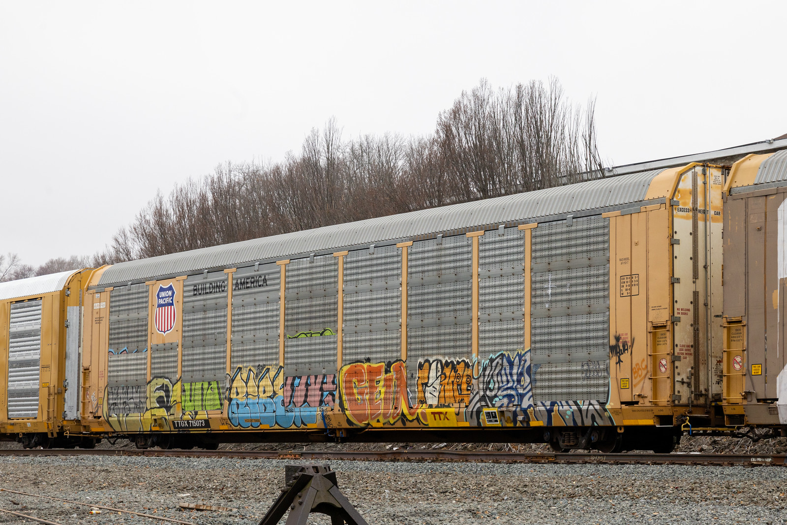 TTGX 715073