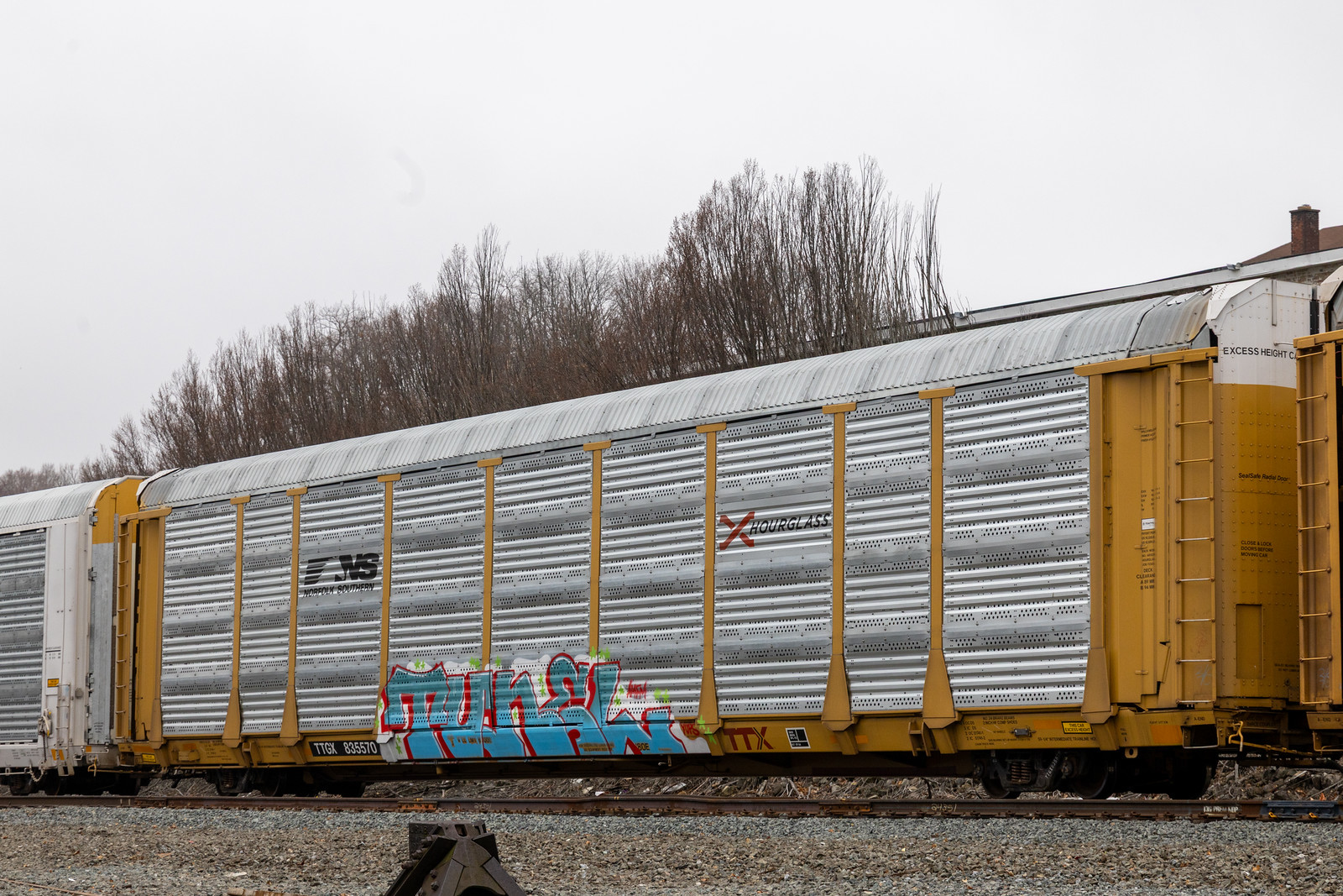 TTGX 835570