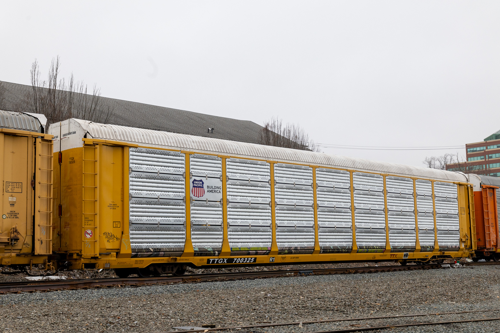 TTGX 700325