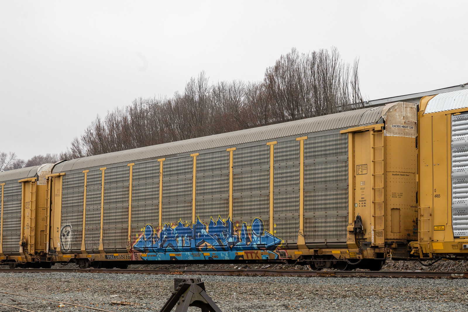 TTGX 852837