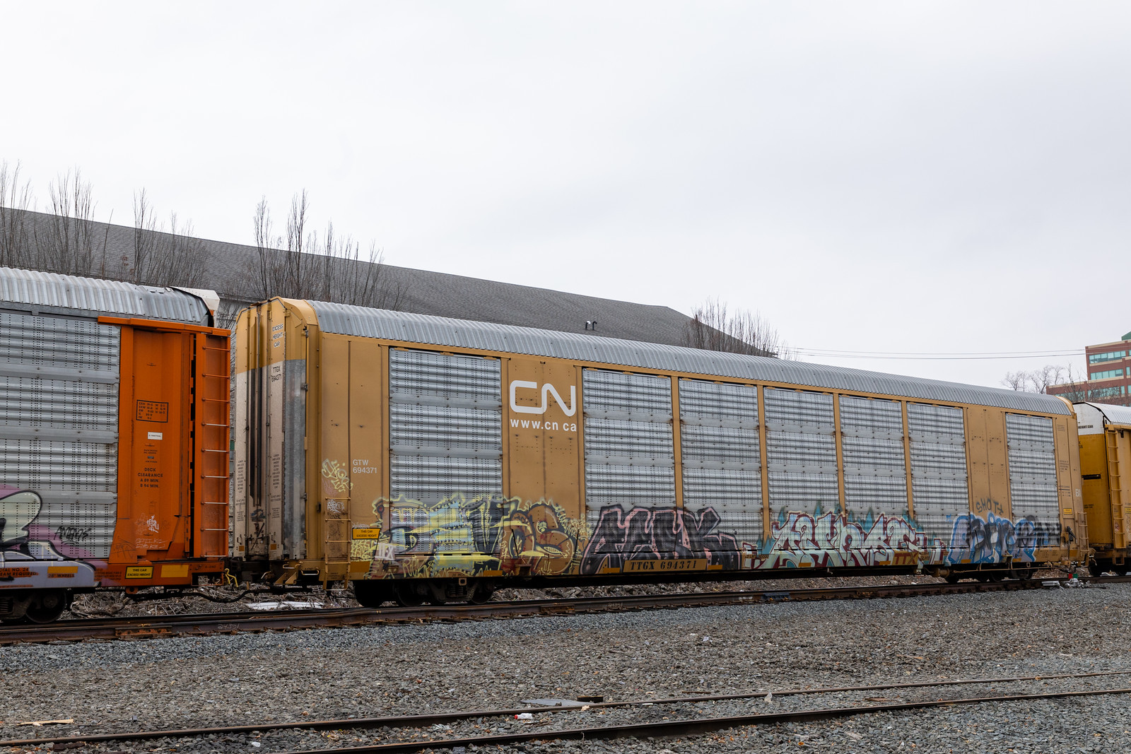 TTGX 694371