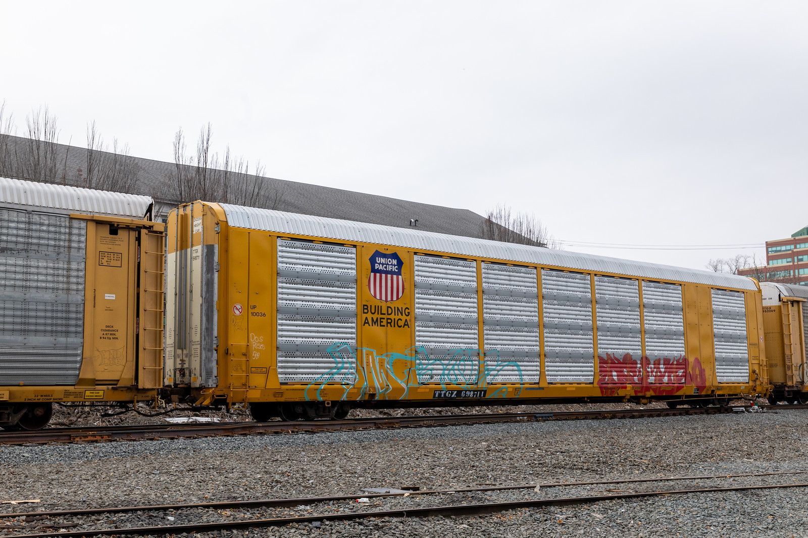 TTGX 698711