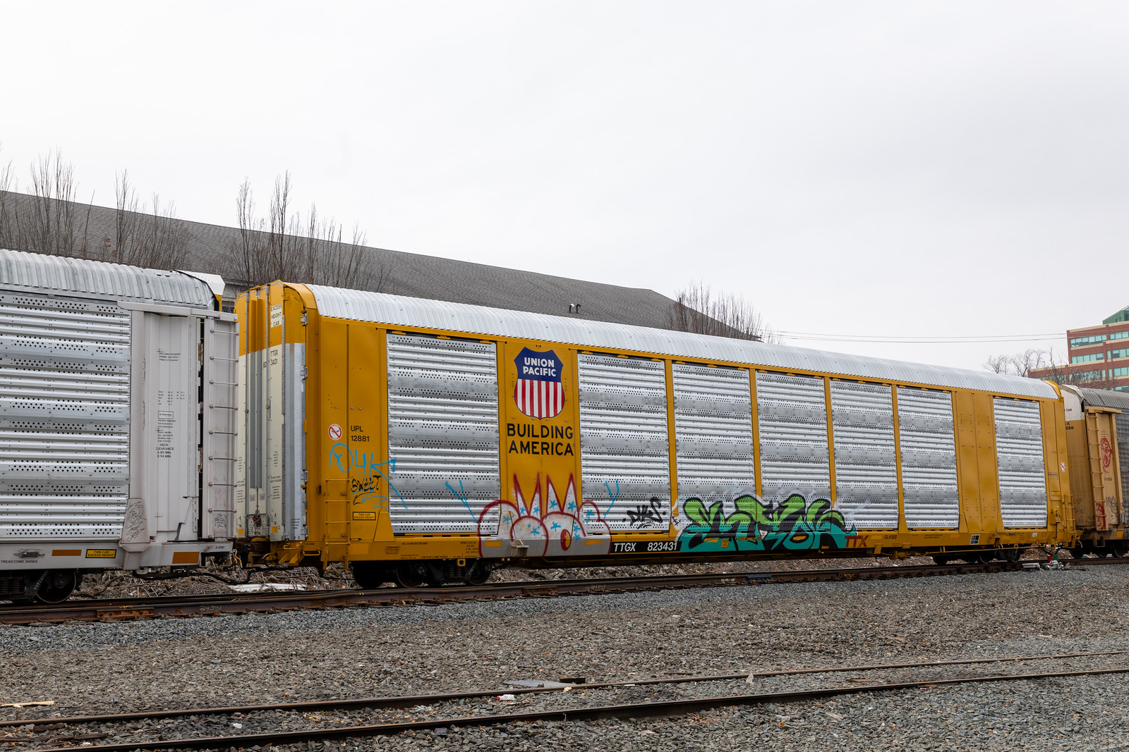 TTGX 823431