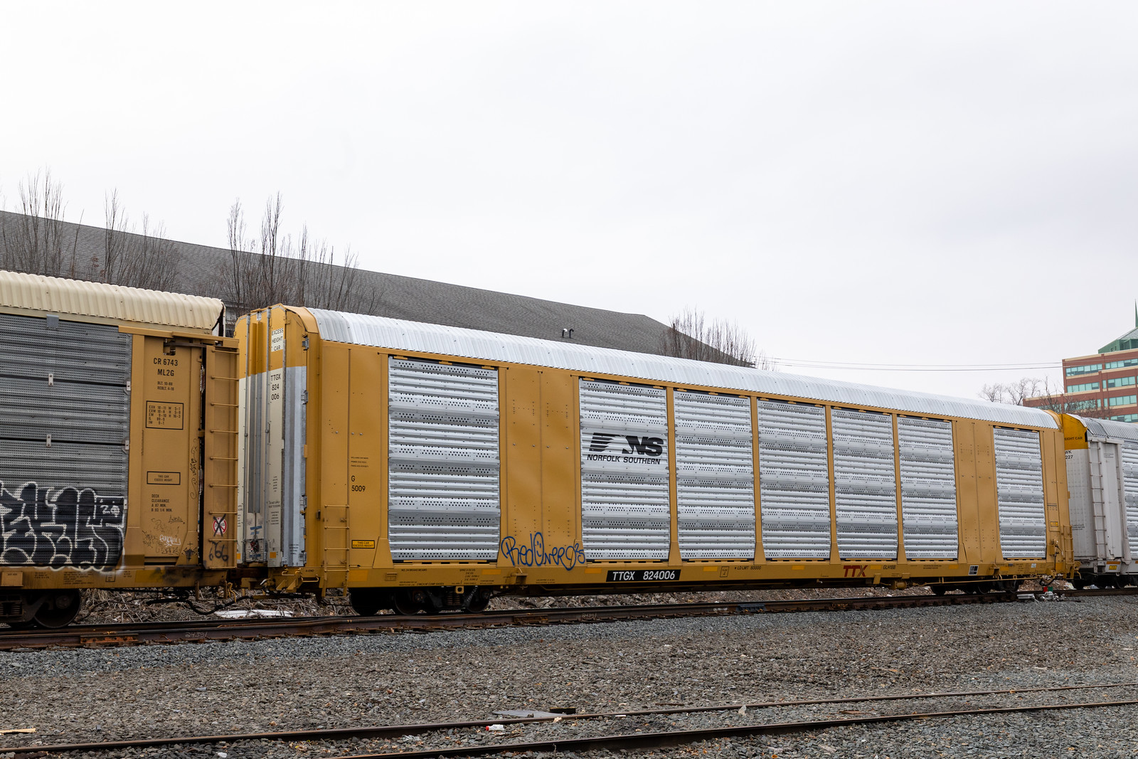 TTGX 824006