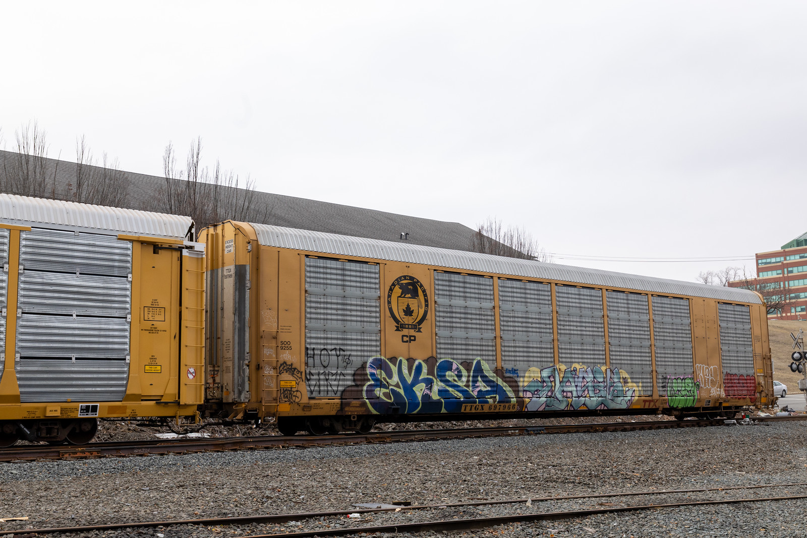 TTGX 697966