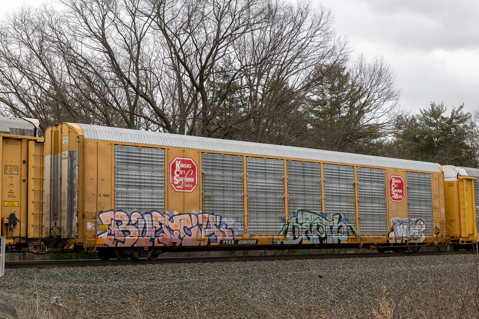 TTGX 696099