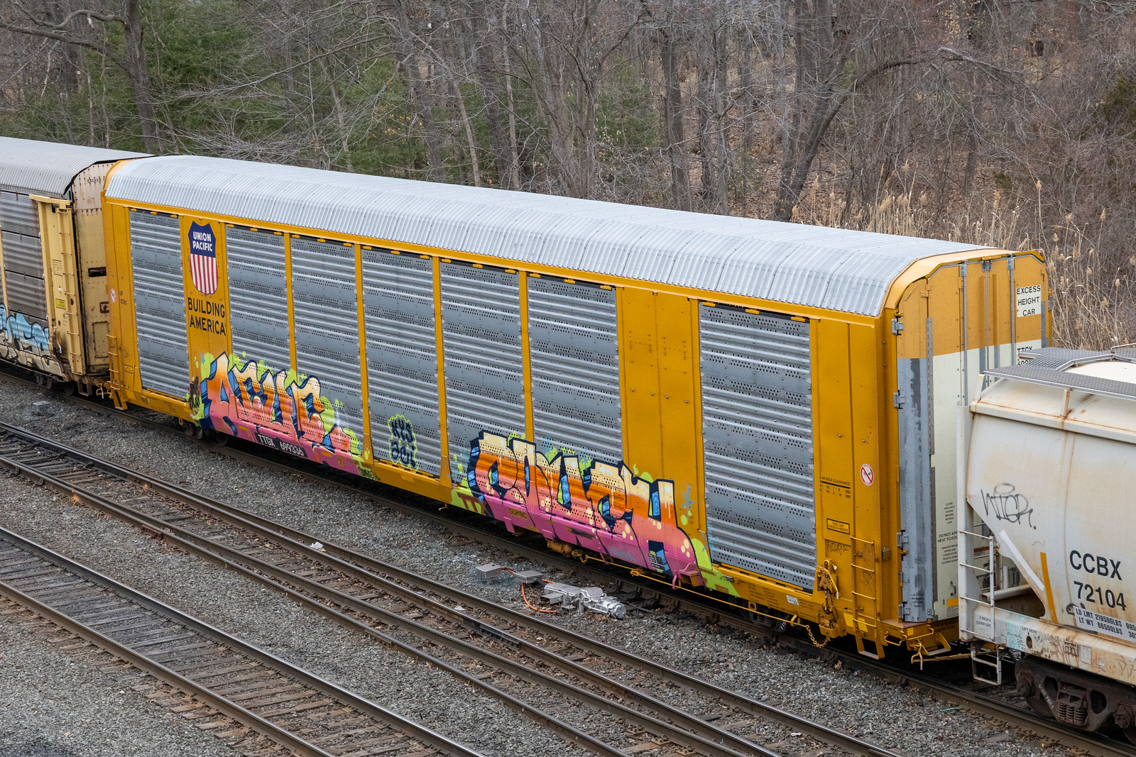 TTGX 699336