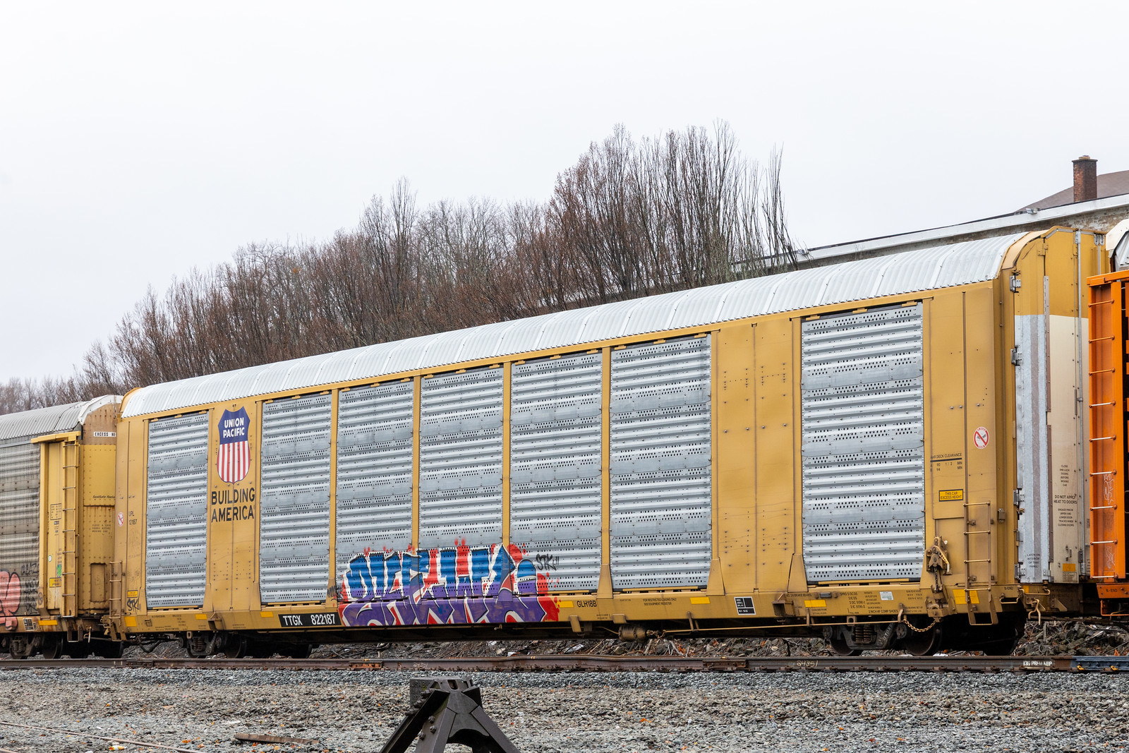TTGX 822187