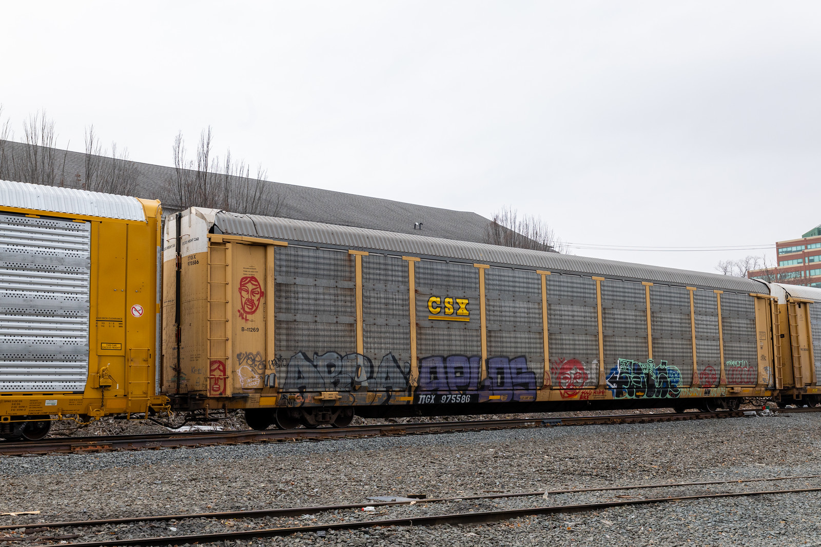 TTGX 975586