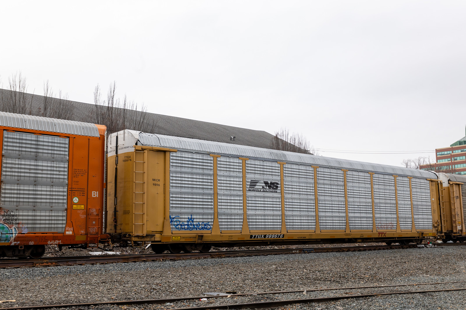 TTGX 988676