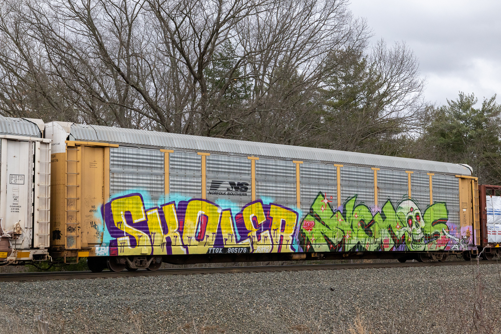 TTGX 965176