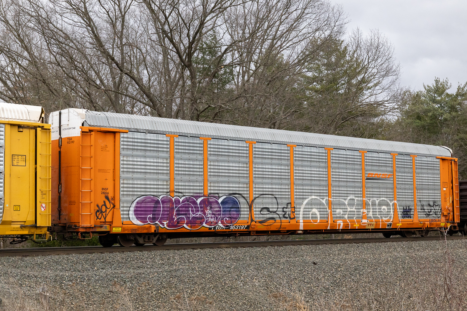 TTGX 953197