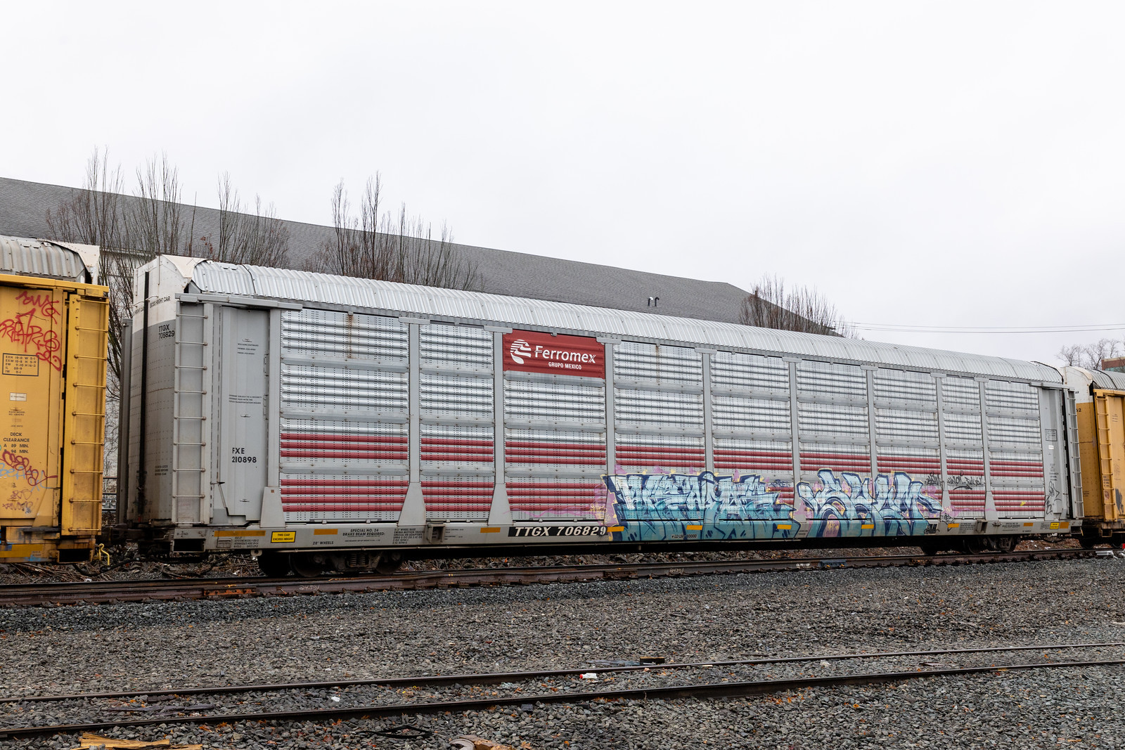 TTGX 706829