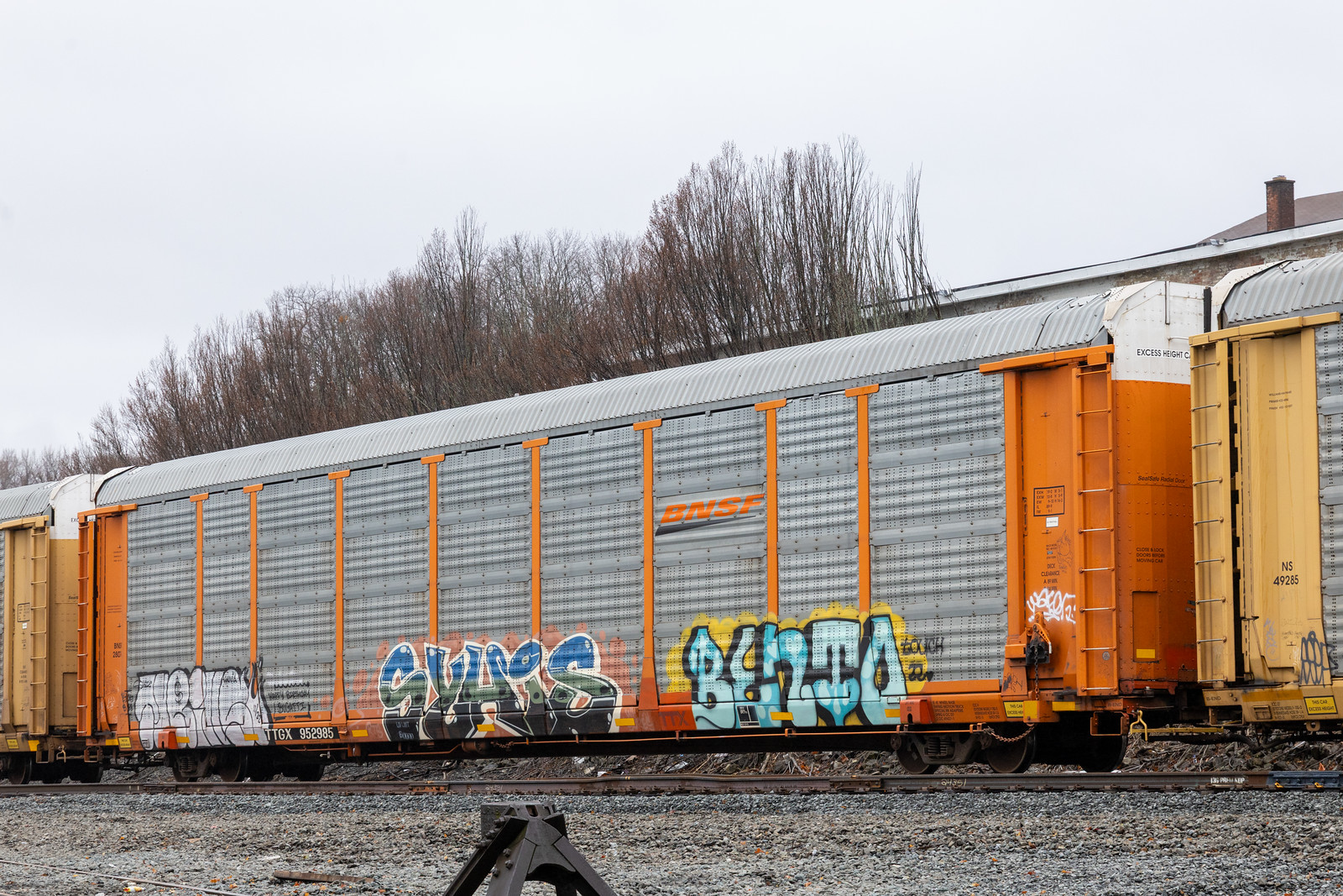TTGX 952985