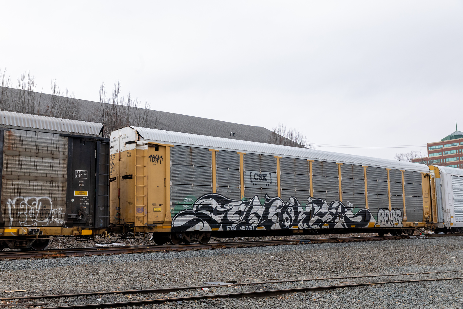 TTGX 157161