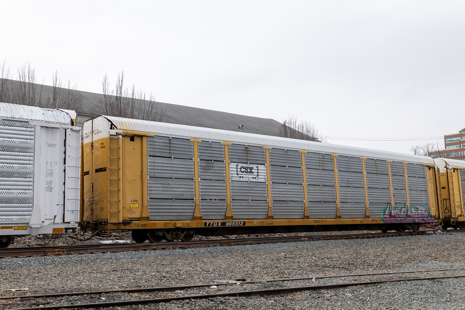 TTGX 965513