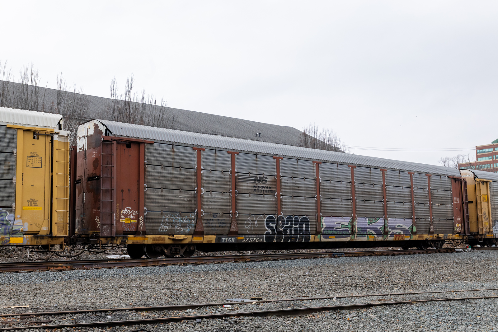 TTGX 975764