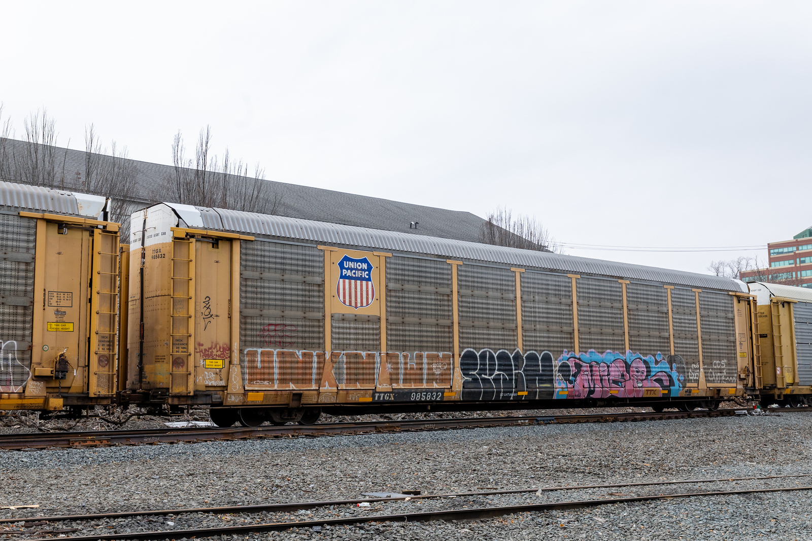 TTGX 985832