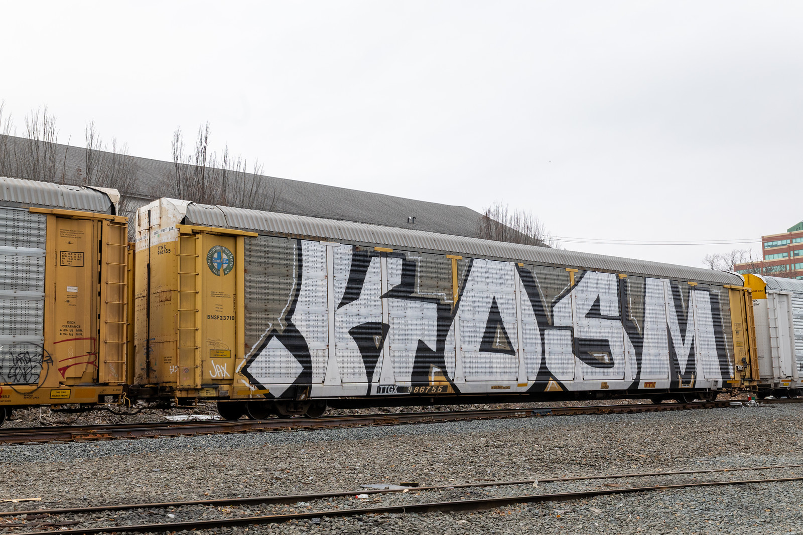 TTGX 986755