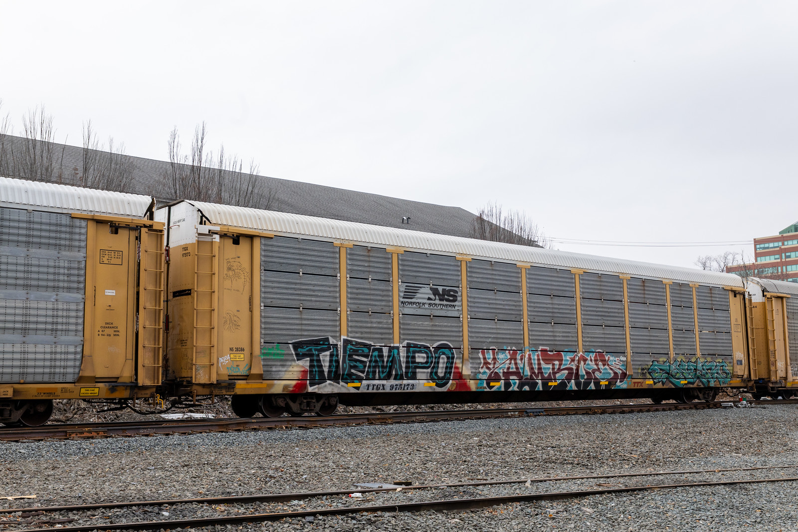 TTGX 975173