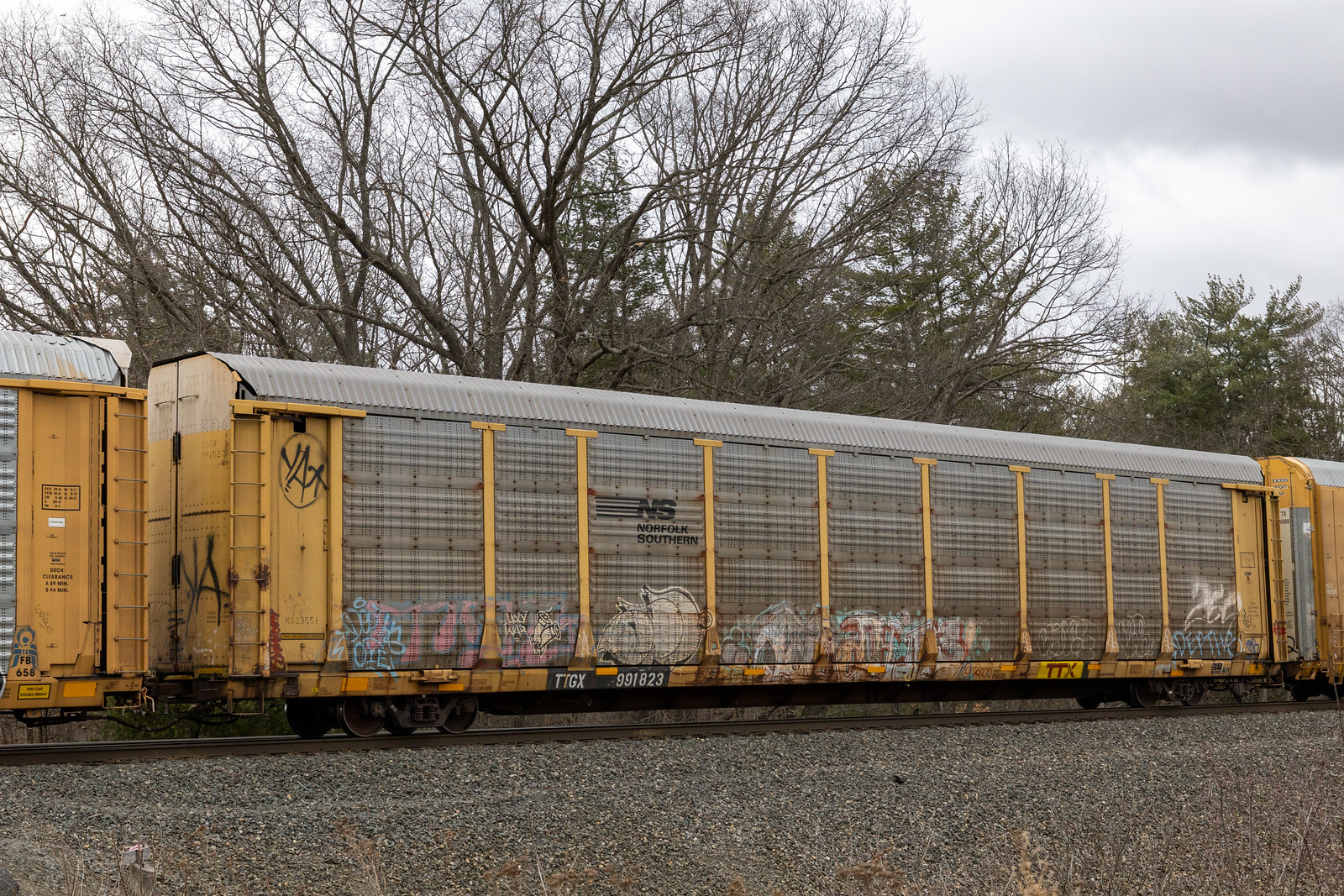TTGX 991823