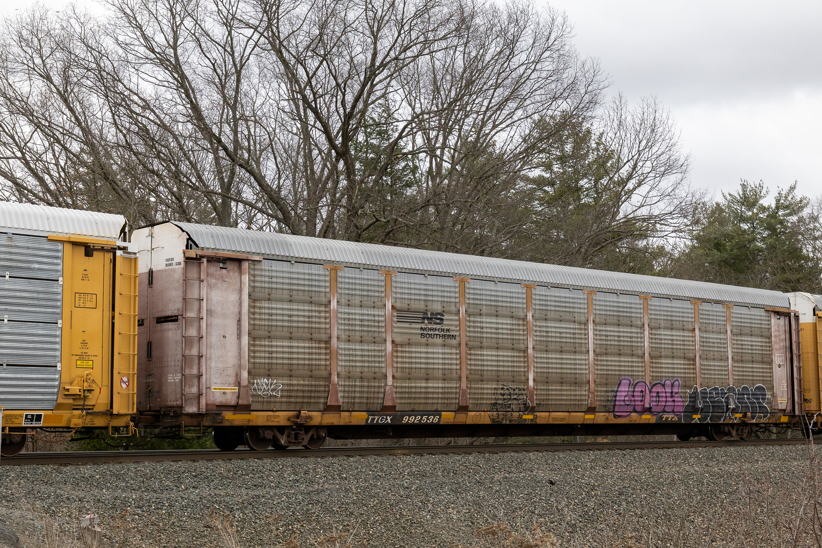 TTGX 992536