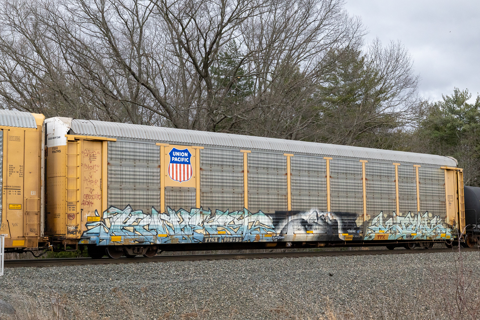 TTGX 996795