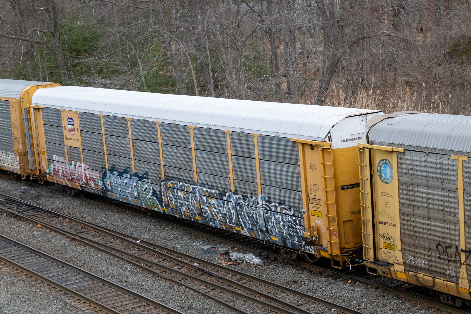 TTGX 964685