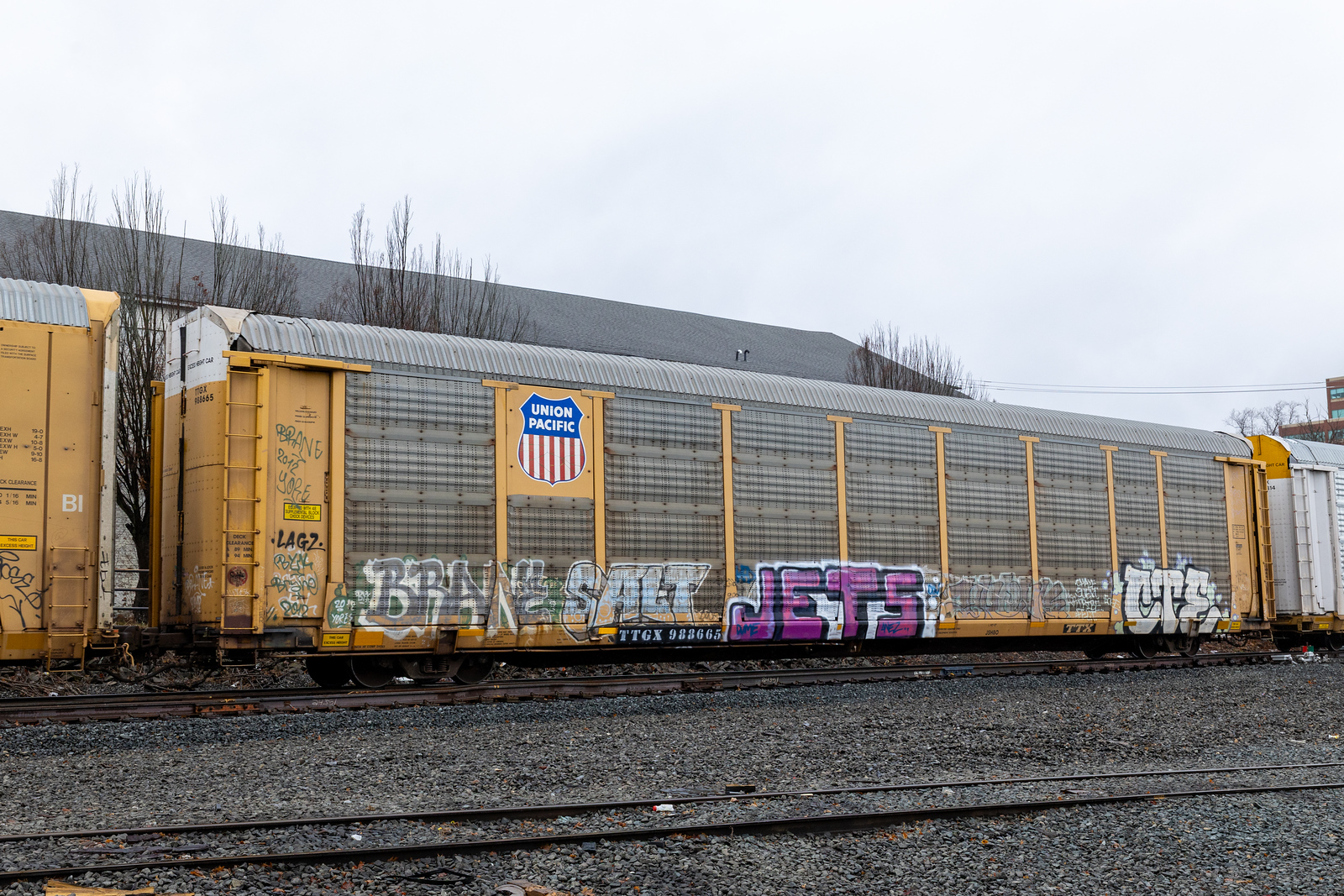 TTGX 988665