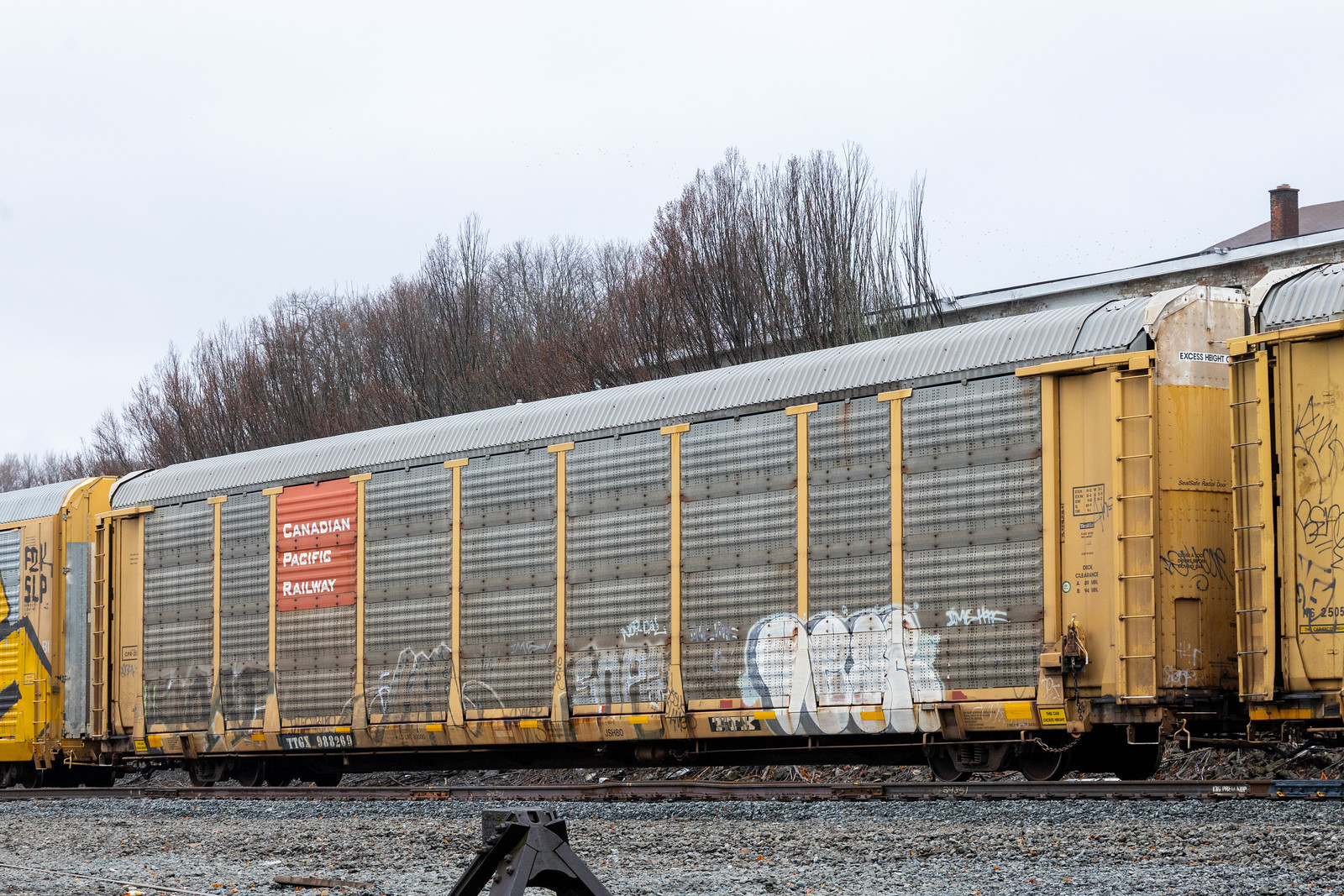TTGX 988269