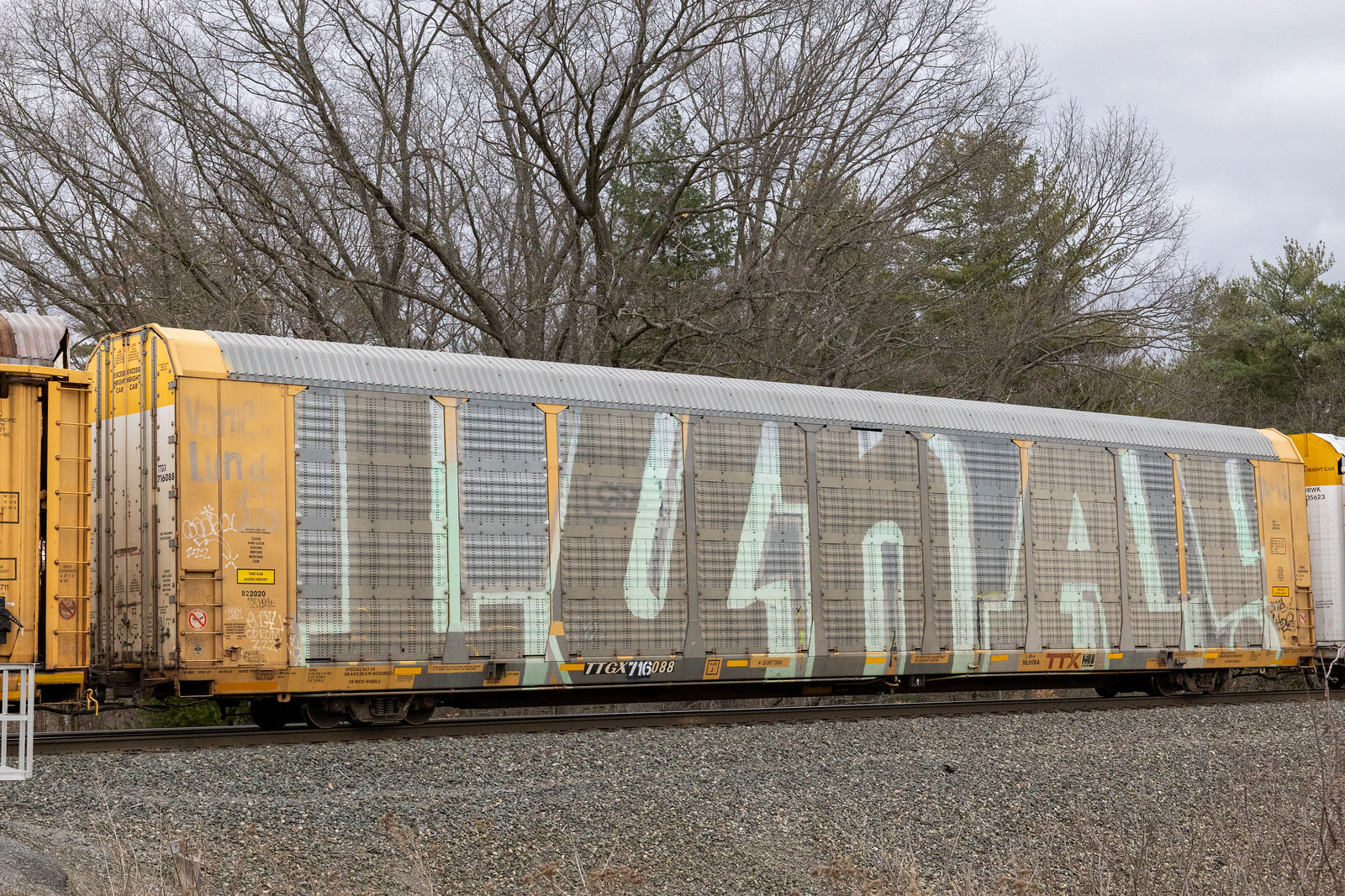 TTGX 716088